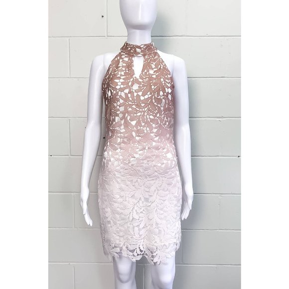 BNWT QUIZ Cream And Mocha Lace Ombre Bodycon Dress - Size 10 - Picture 2 of 6